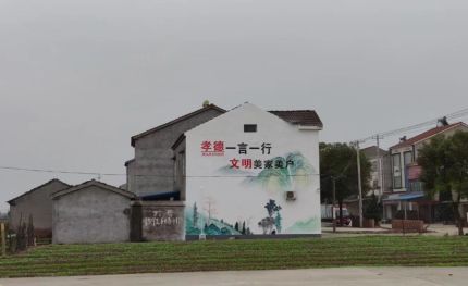 沛县新农村墙绘